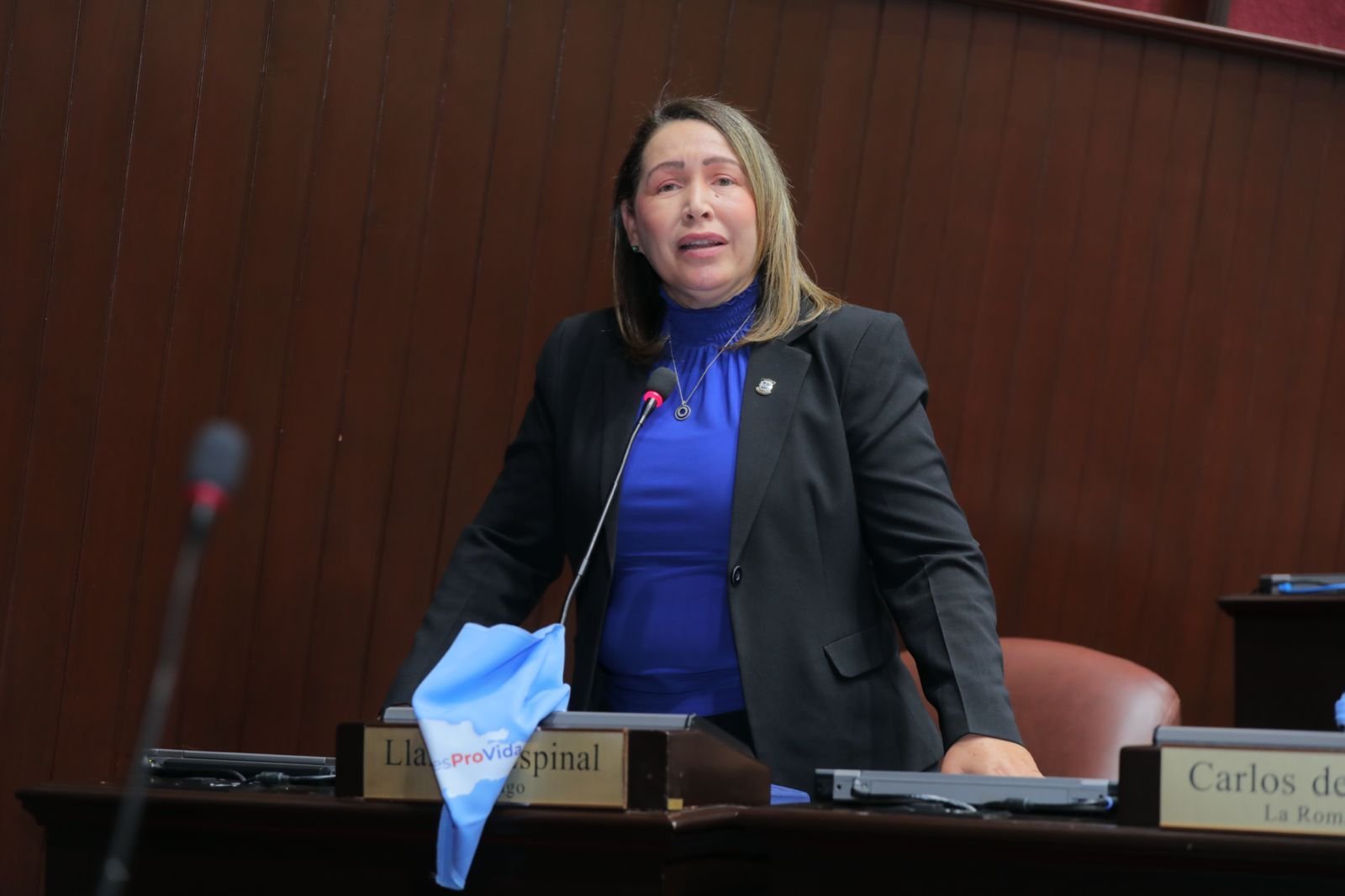 Llarilis Espinal